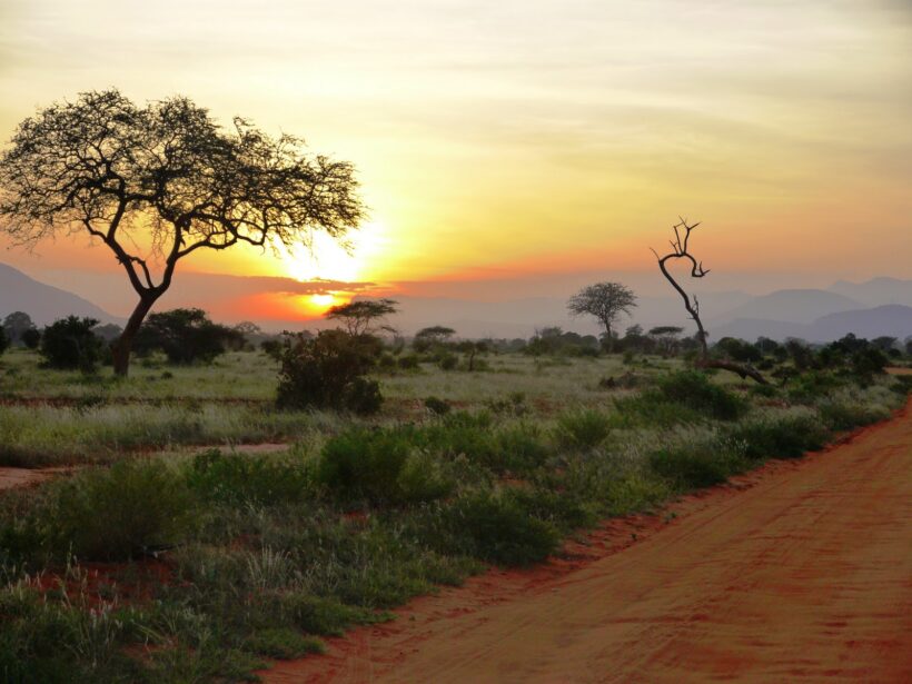 tsavo-east-park tsavo-east-park