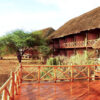 ngutuni-safari ngutuni-safari