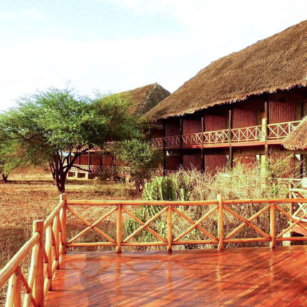 3 Days Safari Ngutuni and Taita Hills Saltlick